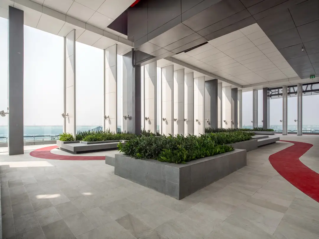 Roof Garden