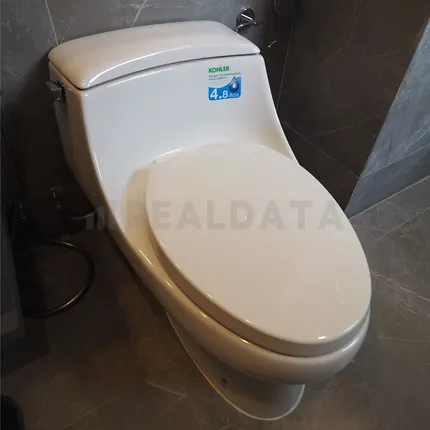 โถสุขภัณฑ์(ชั้น1และห้องนอนรอง) : Kohler