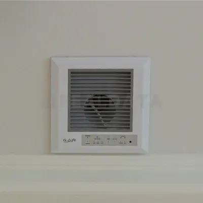 Dust Free House