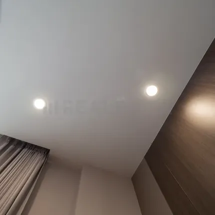 ไฟ Downlight ฝ้าเพดาน